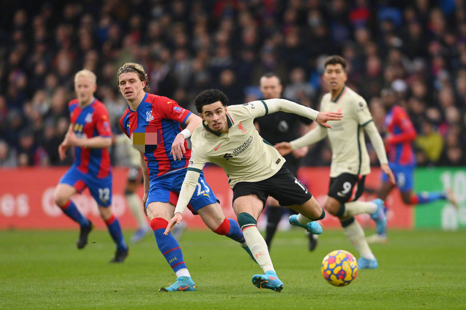 进攻选择的 进攻选择的