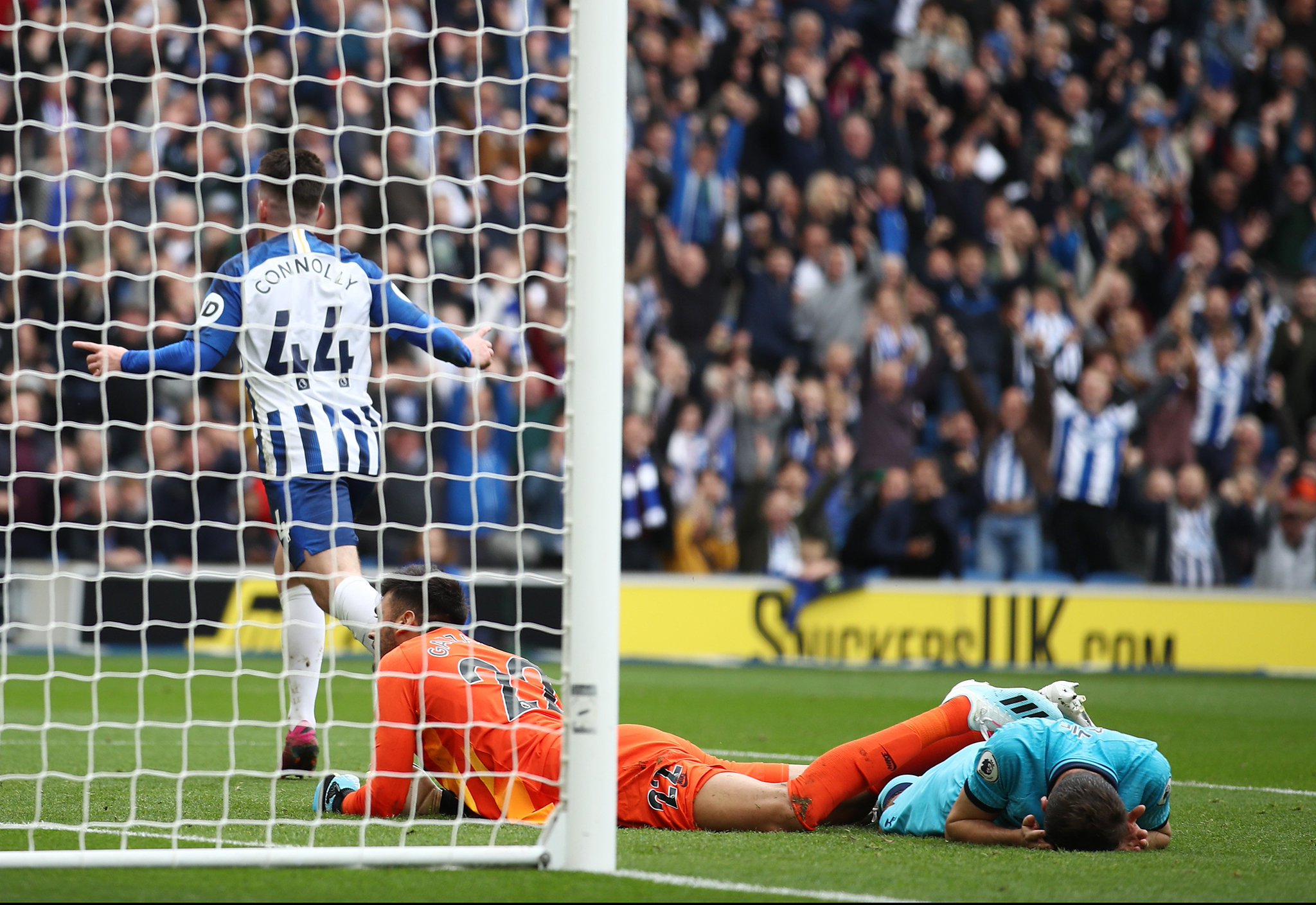 兰未来带来 兰未来带来